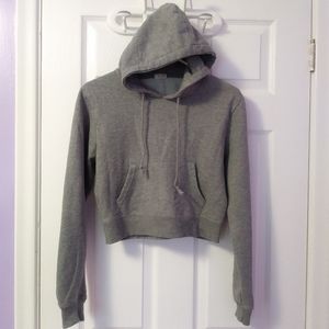 NWOT Brandy Melville John Galt cropped grey hoodie